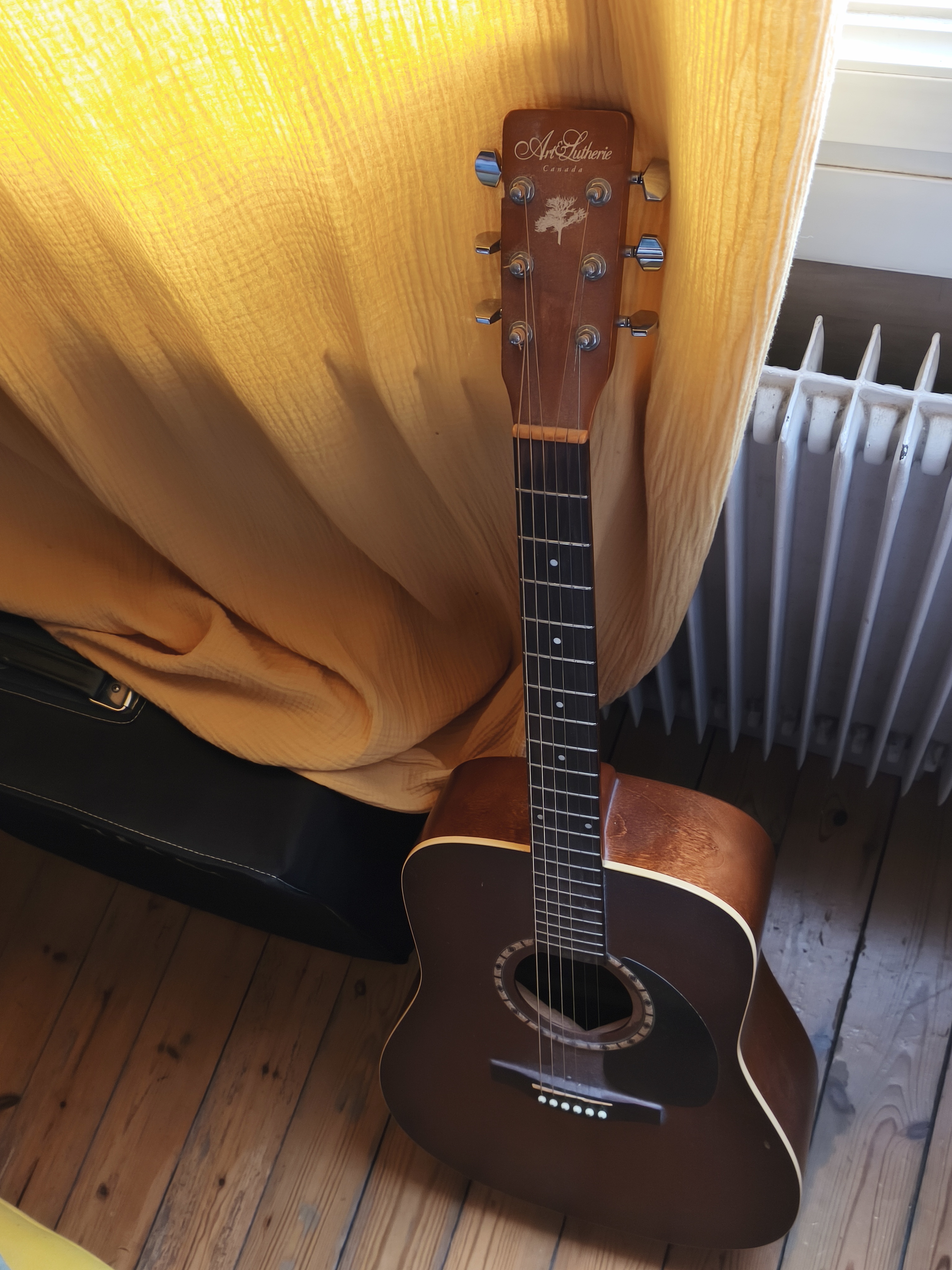 Art et Lutherie Folk Cedar Antique Burst